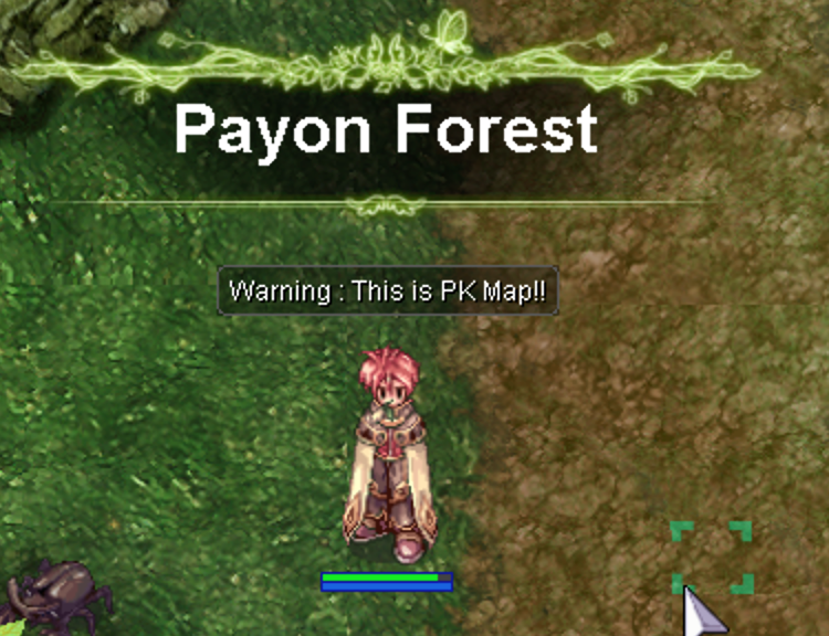 Maps - Payon Forest